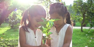 近距离的两个亚洲孩子抱着一个年轻的植物在花园与爱。家庭爱的理念在环保中免费日或假期