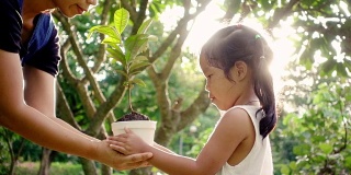 近距离的女性抱着和给一个年轻的植物与爱的孩子。家庭在环境保护的概念免费日或假期