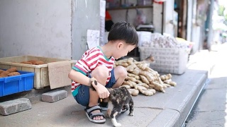 可爱的孩子和猫视频素材模板下载