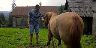 一个男人在村里抚摸着一匹马