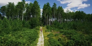 在森林中探索野生自然的人-康沃尔。4K视频
