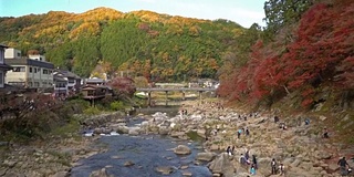 摇摄:日本名古屋红叶秋园