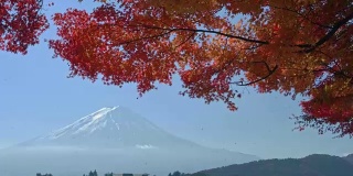 日本山梨县川口湖上秋日的富士山