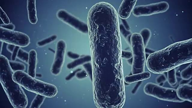 细菌的动画