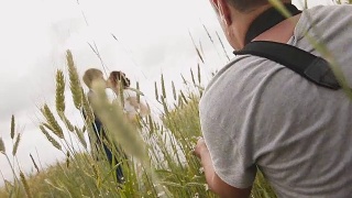 摄影师在给一对新婚夫妇拍照视频素材模板下载