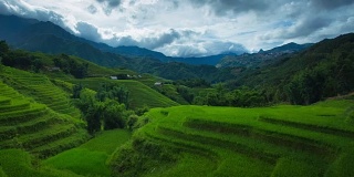 4k移动摄影，定时拍摄梯级稻田和多云的越南沙巴。