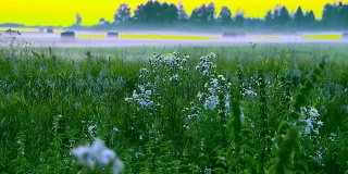春景有雾。雾蒙蒙的乡村——雾在大地上蔓延，漫过草地、树林和草地。夏天的早晨傍晚，乡村景色白雾。
