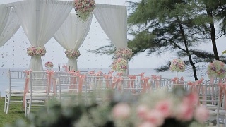 婚礼在花园里举行。视频素材模板下载