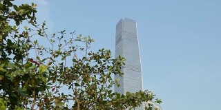 白天时间香港城市著名的环球贸易中心大厦，观景步行4k中国全景