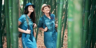 两个女游客在暑假参观竹林