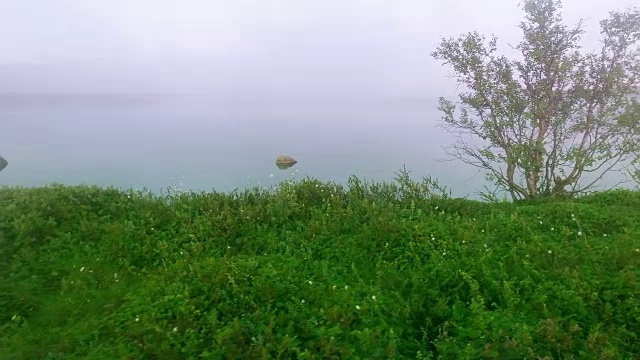 湖上晨雾
