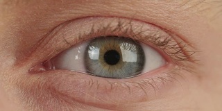 这是一个女人蓝眼睛的微距镜头