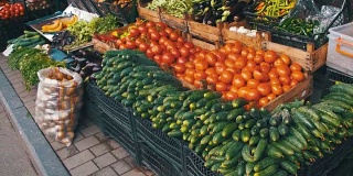 展示蔬菜。农场水果市场