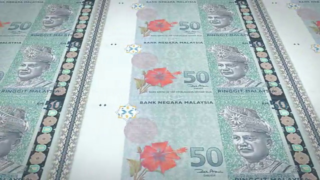 马来西亚50林吉特钞票，现金，循环
