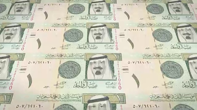 沙特阿拉伯50里亚尔的钞票，现金，循环