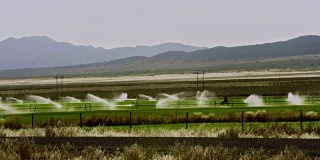 内华达州的牧场浇水