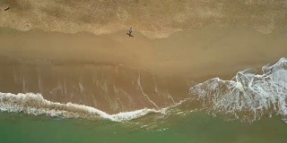 空中冲浪手手拿着冲浪板在沙滩上散步