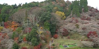 摇摄:秋红离开原丰田日本名古屋