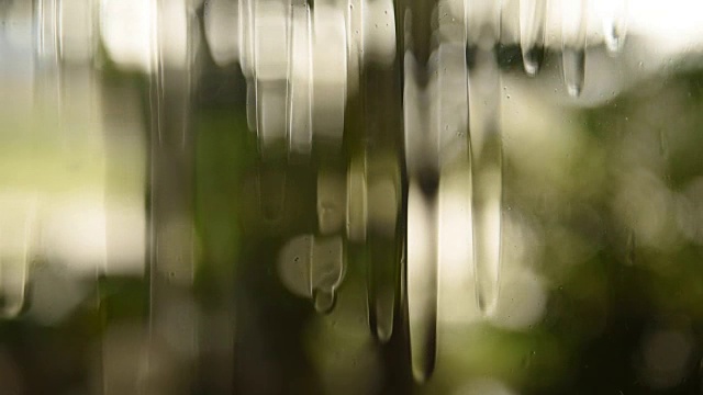 雨滴落在窗户上