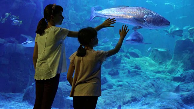 孩子们在一个巨大的水族馆里看鱼