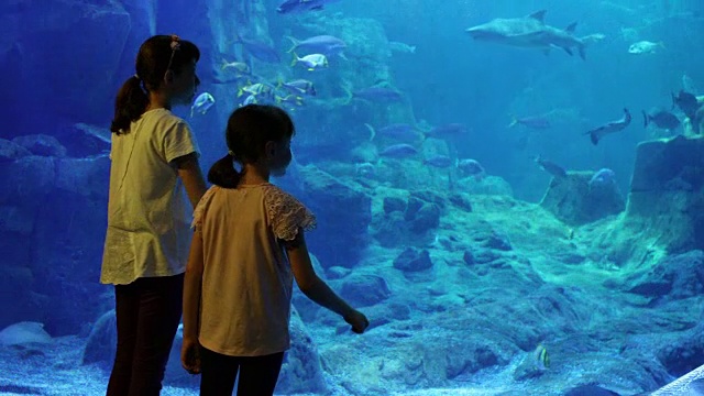 孩子们在一个大水族馆里看鱼