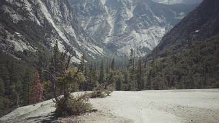 加州红杉国家公园视频素材模板下载