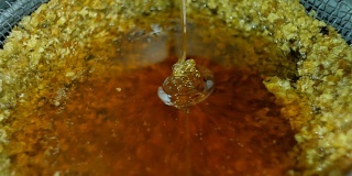 过滤新的提取蜂蜜。采蜜机，用于原蜜的提取和过滤。