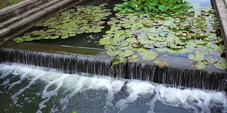 卡罗尔溪在弗雷德里克，马里兰州城市公园与运河和喷泉瀑布在夏天
