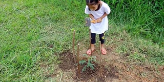 孤身一人的小女孩用锤子敲着木杆，为了保护幼树，她要种树。生态环境保护理念