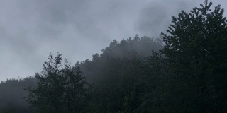 有雾的田园诗般的风景青山绿树的剪影