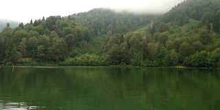 湖泊和森林