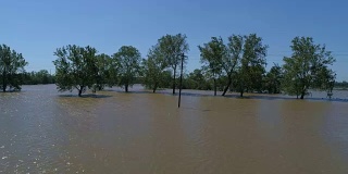 美国德克萨斯州哥伦布市的大片土地完全被飓风哈维淹没，树木和森林被淹没