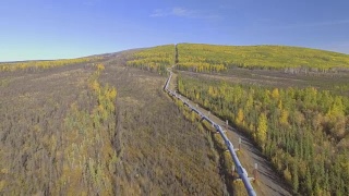 秋季阿拉斯加输油管道的航拍画面视频素材模板下载