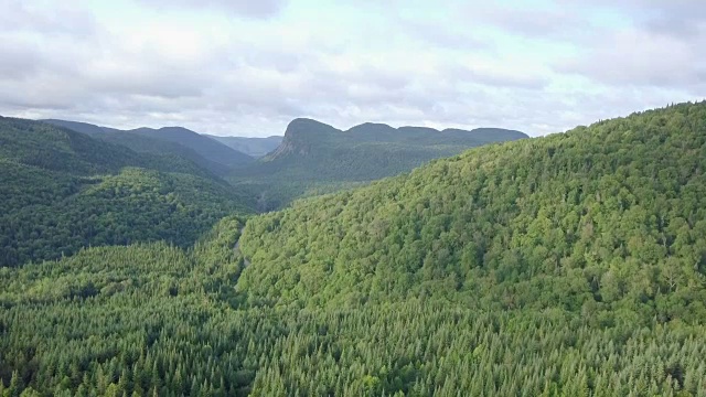 夏季北方自然森林和山地鸟瞰图