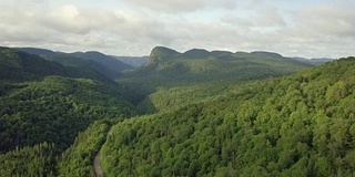 夏季北方自然森林和山地鸟瞰图