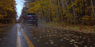 一辆黑色的汽车行驶在潮湿的森林道路上，旋转着落叶