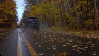 一辆黑色的汽车行驶在潮湿的森林道路上，旋转着落叶视频素材模板下载