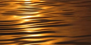 阳光反射在水面上。