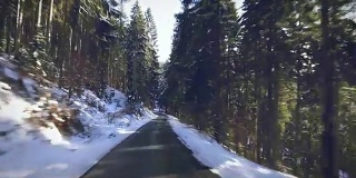 在德国黑森林雪地上开车