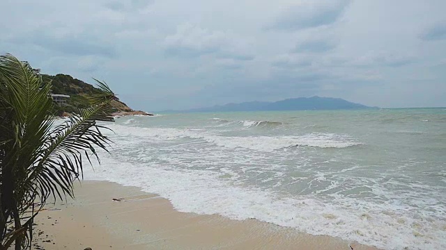 热带海滩与沉重挥舞的棕榈树在暴风雨在慢镜头。1920 x1080