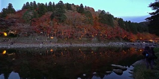 用摇盘拍摄日本名古屋古庆森林公园夜间灯光照明
