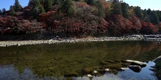 电影倾斜:与日本名古屋秋红叶相映的古莲阁森林公园