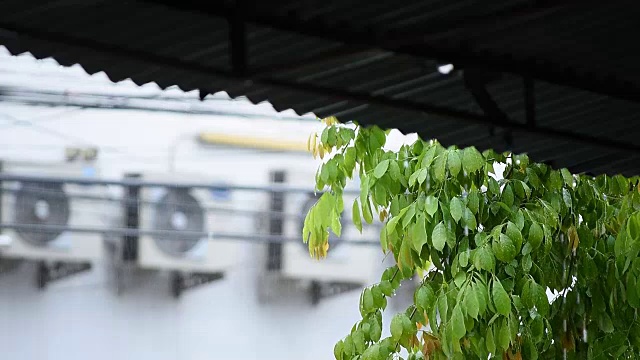 雨水从屋顶滴落下来