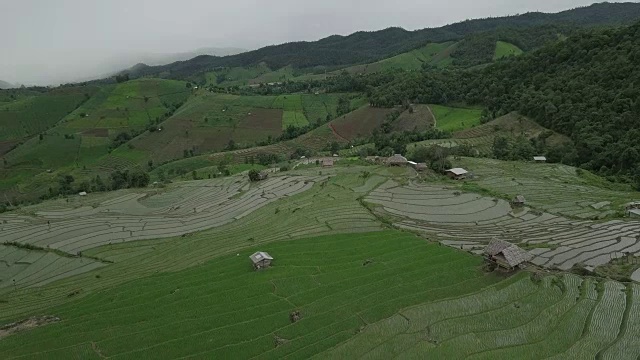 水稻梯田