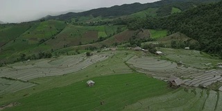 水稻梯田