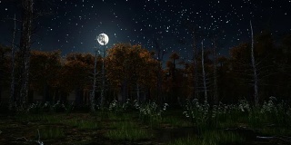 月色之夜的可怕秋林