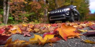 慢镜头近景黑色SUV汽车在森林道路上旋转的秋叶