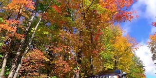 慢镜头蓝色越野车行驶在色彩斑斓的森林里，秋叶纷飞