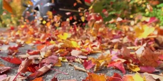 慢镜头特写:五彩缤纷的秋叶在一辆汽车后面飞舞