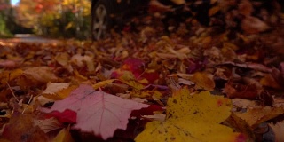 慢镜头:汽车行驶在色彩斑斓的森林道路上，秋叶灿烂